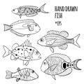 Vector set of hand drawn stylized fishes